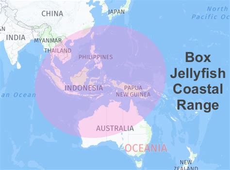 box jellyfish distribution|box jellyfish location map.